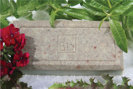 Witch Hazel, Tea Tree & Verbena 8 oz.